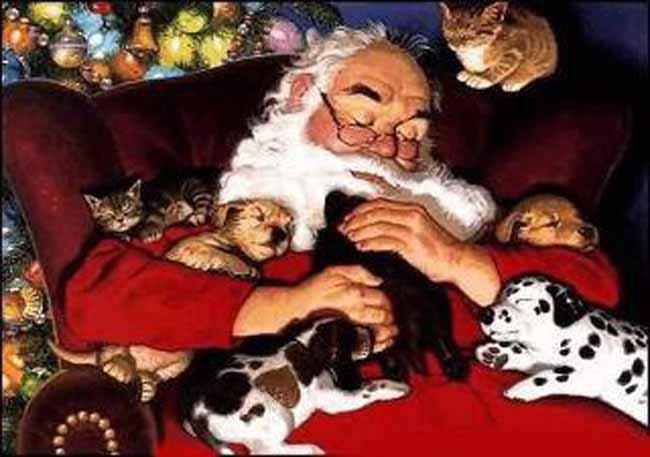 Santa Claus wit h Animals